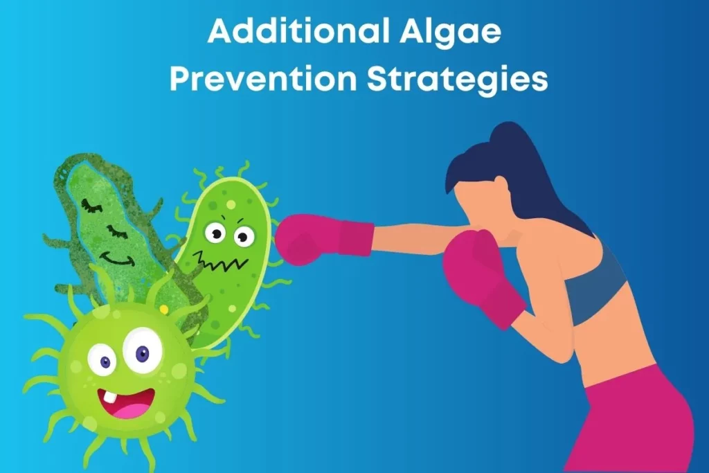 Additional Algae Prevention Strategies