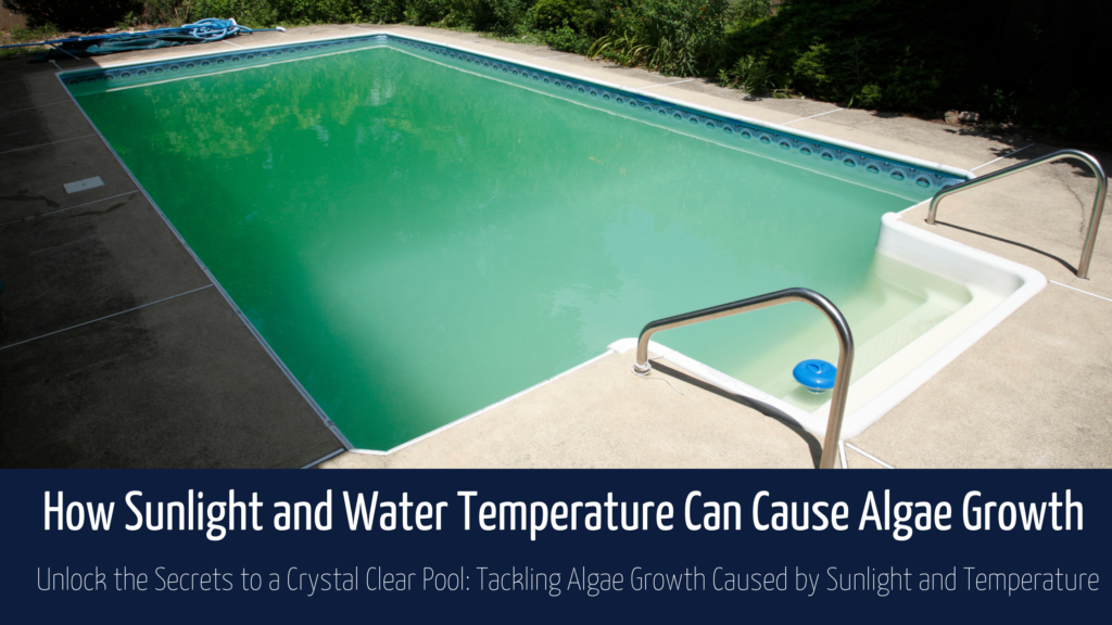 How Sunlight and Water Temperature Can Cause Algae Growth Blog Banner