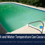 How-Sunlight-And-Water-Temperature-Can-Cause-Algae-Growth