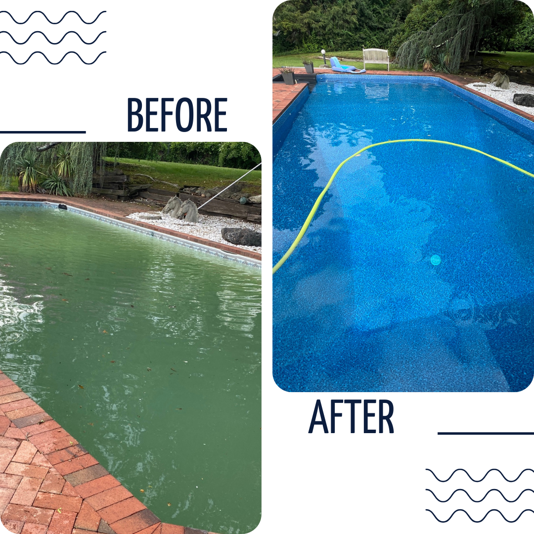 green-to-clear-before-and-after-pool-service-1