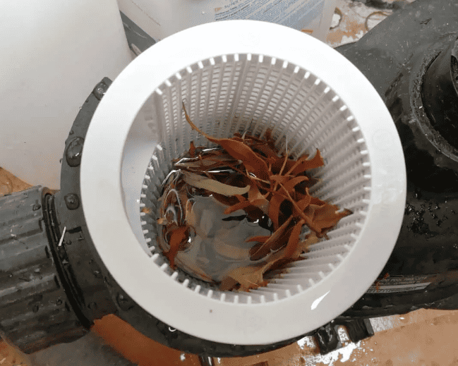 Pool Pump Baskets